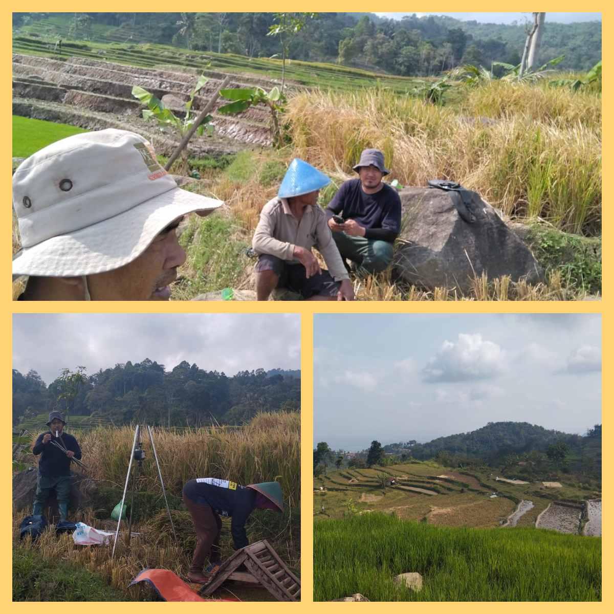 Spatial Classification of SR2 Rice Fields in Sumbaga Village, Bumijawa Subdistrict