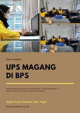 Kegiatan Magang Mahasiwa UPS di BPS