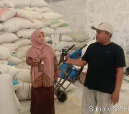 Supervisi Harga Gabah di BPS Kabupaten Tegal: Meningkatkan Akurasi Data Pertanian