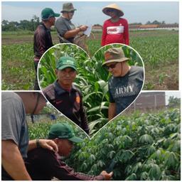 Pengawasan Survei KSA di Kecamatan Pangkah 