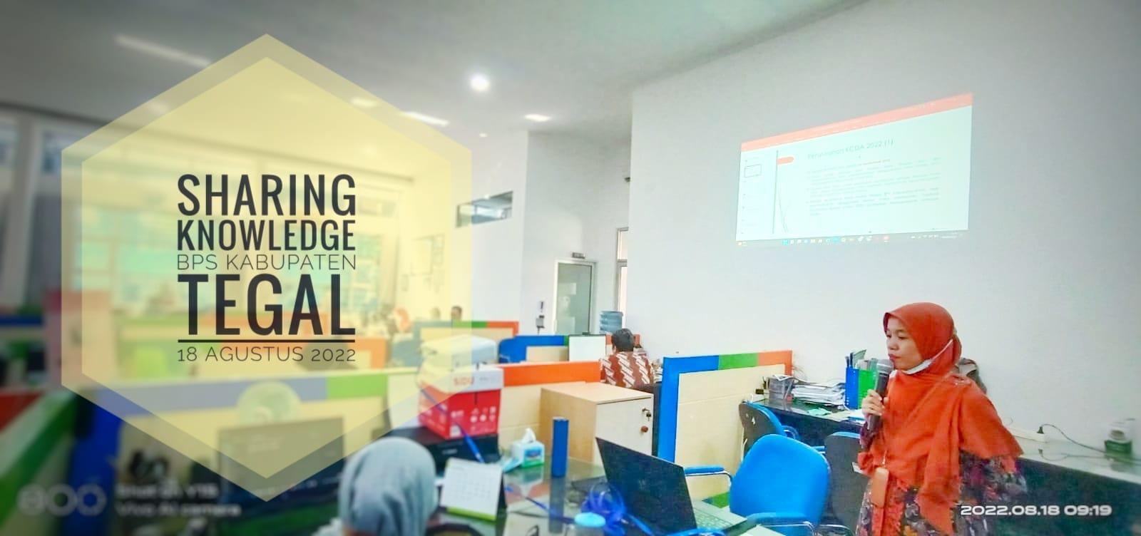 Sharing Knowledge Penggunaan Adobe Indesign Untuk pembuatan Publikasi BPS